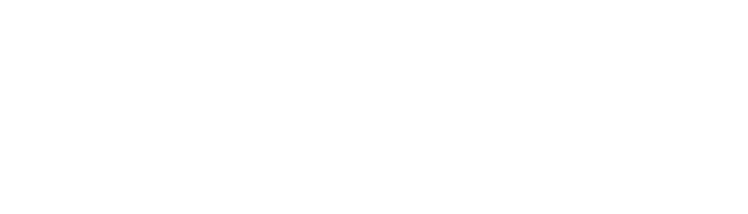 Studio di nuovi farmaci anti-epilettici per la sindrome ring14 utilizzando un modello murino giovanile